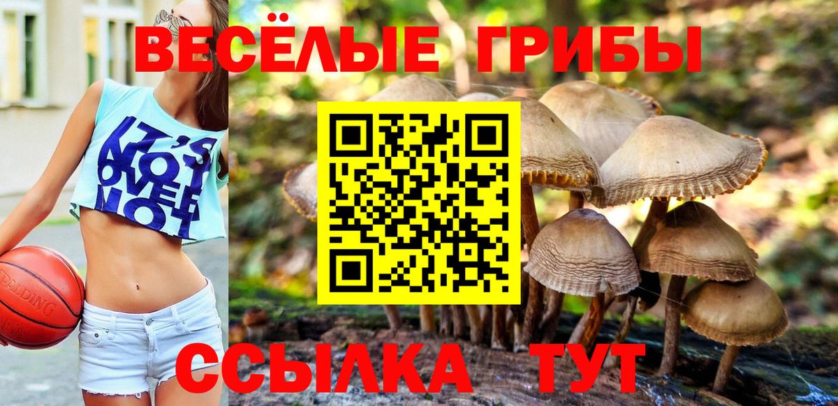 Псилоцибиновые грибы Psilocybe  Вход с VPN  Ногинск 